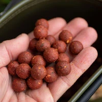 Dynamite Baits The Source Boilies 1kg